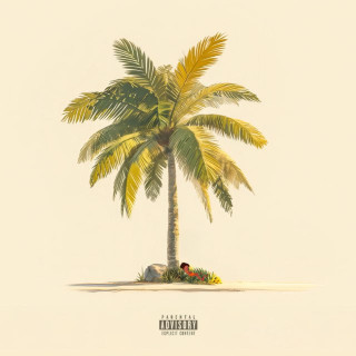 Mougli - SOUS LES PALMIERS album cover