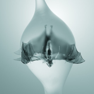 Unprocessed - Angel album cover