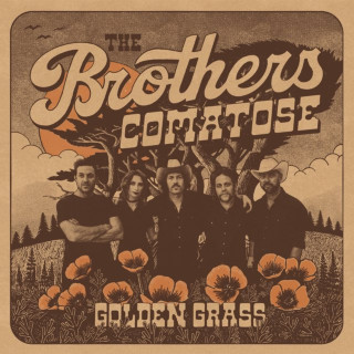 The Brothers Comatose - Golden Grass album cover