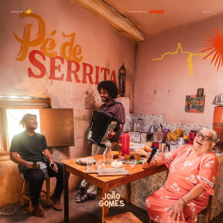 João Gomes - Pé De Serrita album cover