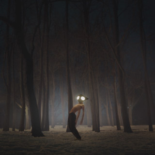 Geese - Projector album cover