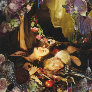 chokecherry - Ripe Fruit Rots And Falls album cover