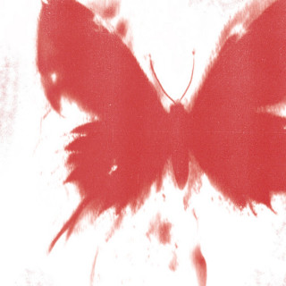 Beauty School Dropout - WHERE DID ALL THE BUTTERFLIES GO? album cover