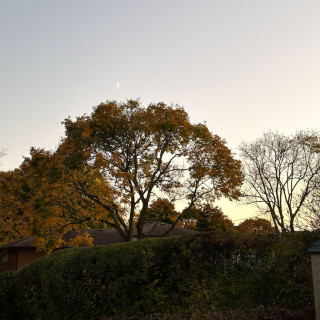Ollie - The Sun Feels Different In September single cover