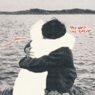 joan - this won't last forever album cover