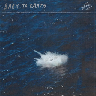 Charlie Burg - Back To Earth album cover