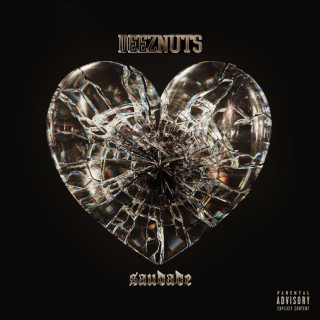 Deez Nuts - Saudade album cover