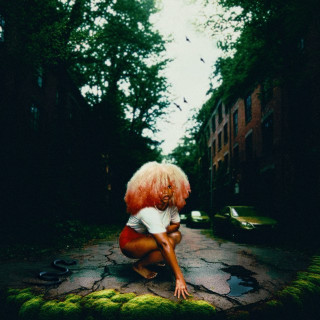 Alex Mali - The Jungle Book EP cover