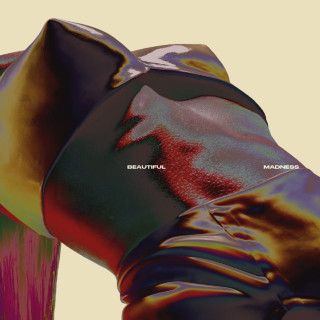 Agnes - BEAUTIFUL MADNESS album cover