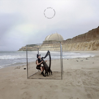 Allie X - Happiness Is Going To Get You album cover