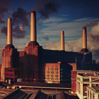 Pink Floyd - Animals album cover