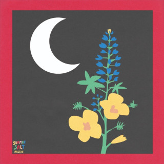 Summer Salt - Reside album cover