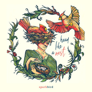 Sparkbird - Head Like A Nest album cover
