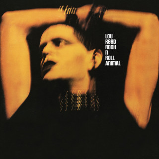 Lou Reed - Rock 'n' Roll Animal live album cover
