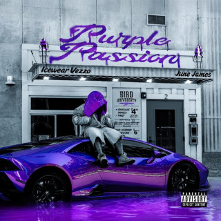Icewear Vezzo - Purple Passion album cover