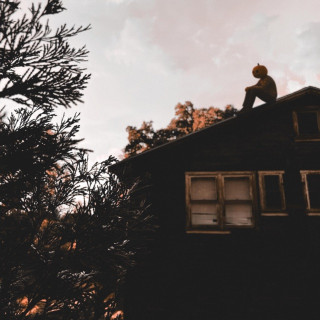 Foreign Forest - In The Woods album cover
