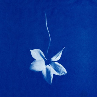 LUME - Begun To Feel EP cover