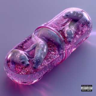 Joey Trap - SEAWORLD album cover