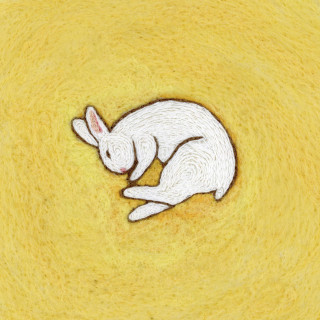Your Arms Are My Cocoon - death of a rabbit album cover