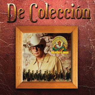 Valentín Elizalde - Volveré A Amar album cover