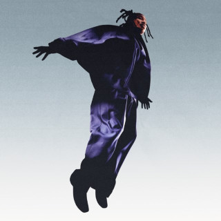 MAVI - The Pilot album cover