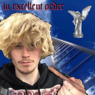 Fried By Fluoride - In Excellent Order album cover