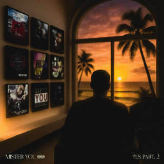 Mister You & Zamdane - PLS album cover