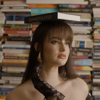 Lily Lane - Domesticated EP cover