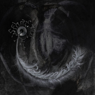 schafter - palimpsest album cover