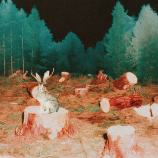 lampabikt (лампабикт) - пни album cover