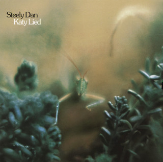 Steely Dan - Katy Lied album cover