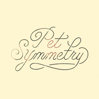 Pet Symmetry - Vision album cover