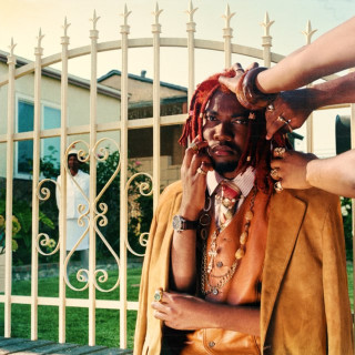 redveil - sankofa album cover