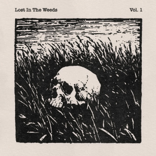 Sam Burchfield - Lost In The Weeds Vol. 1 album cover
