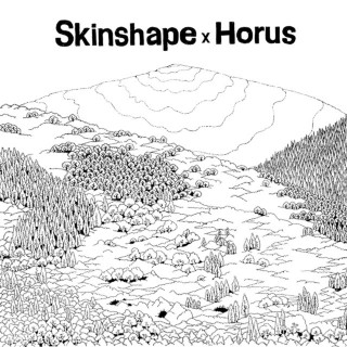 Skinshape & The Horus All Stars - Skinshape X Horus album cover