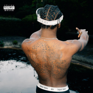 Leafs - Making Make Sense album cover