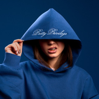 ZAH1DE & benno! - Pretty Privilege album cover