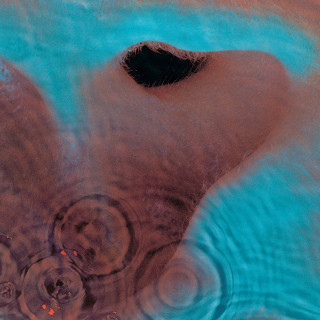 Pink Floyd - Meddle album cover