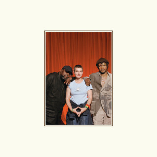 Sinead O'Connor - Throw Down Your Arms album cover
