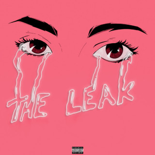 Dro Kenji - THE LEAK mixtape cover