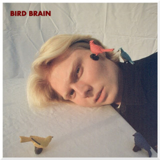 Andrew Garden - BIRD BRAIN EP cover