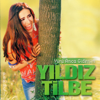 Yıldız Tilbe - Yürü Anca Gidersin album cover