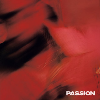 Terrace Martin & Blxst - PASSION album cover