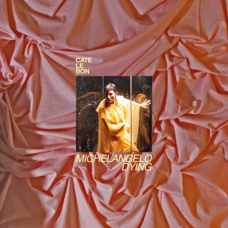 Cate Le Bon - Michelangelo Dying album cover