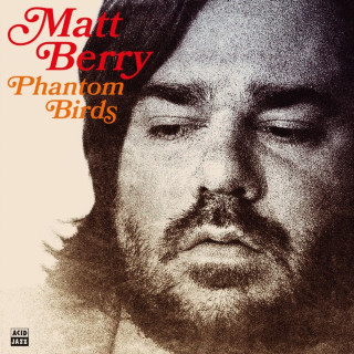 Matt Berry - Phantom Birds album cover