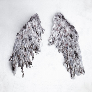Đorđe - Icarus album cover
