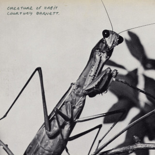 Courtney Barnett - Creature Of Habit album cover