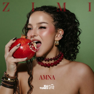 Amna - Zimi album cover