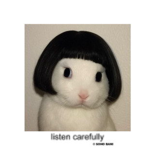$OHO BANI & Ericson - listen carefully album cover