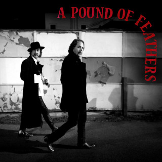 The Black Crowes - A Pound Of Feathers album cover